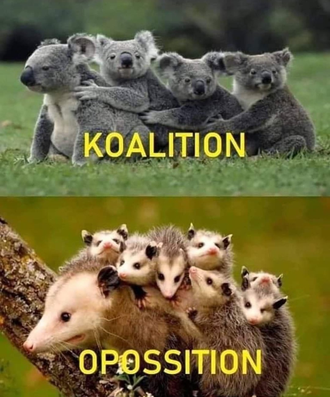 Obrázok bez popisu č.1070280