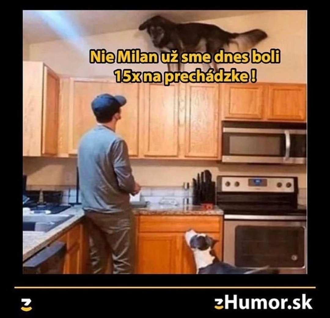 Obrázok bez popisu č.1071326