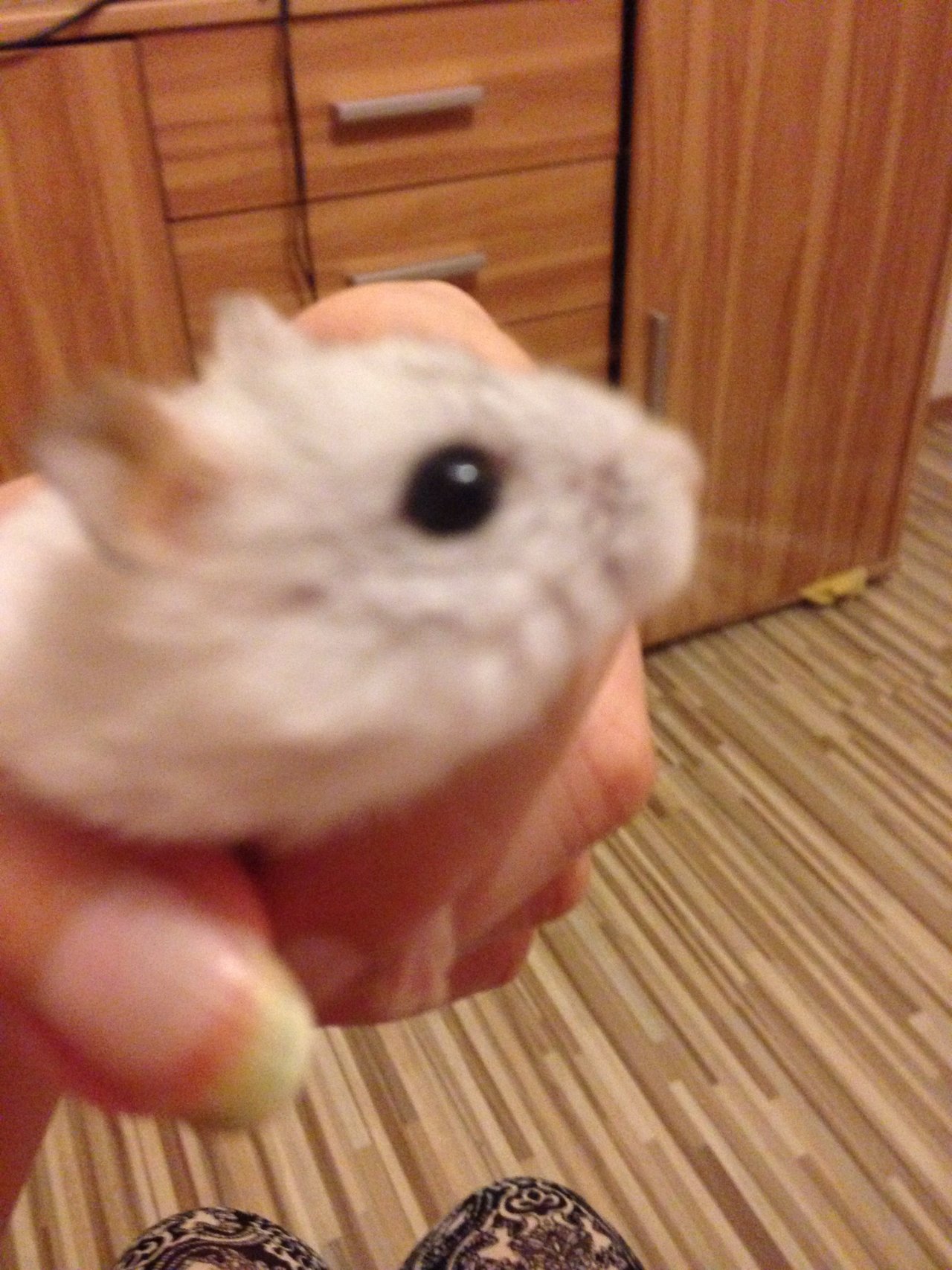 Potvorky sa majú dobre! :3 