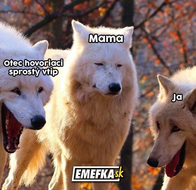 Obrázok bez popisu č.1074129