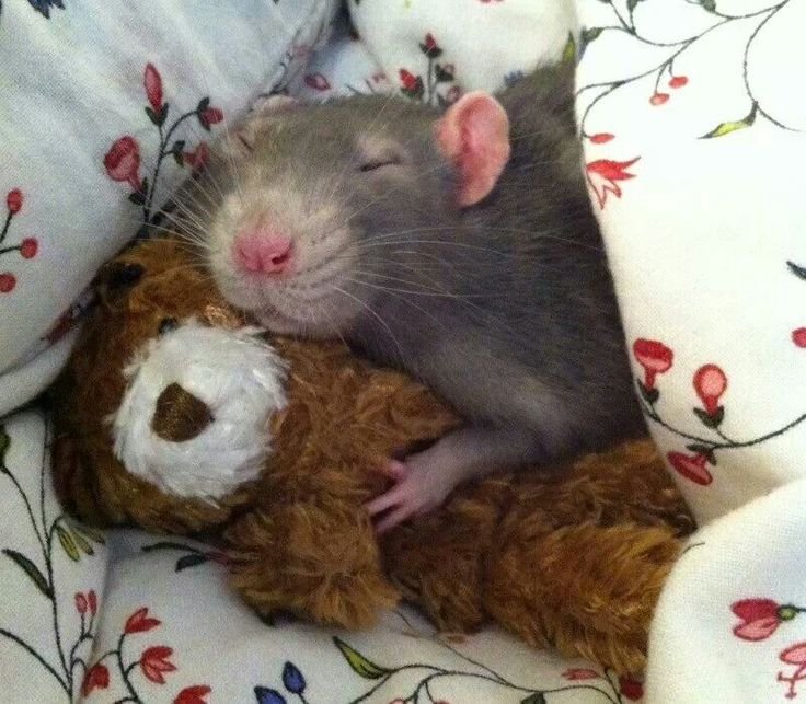 :3 