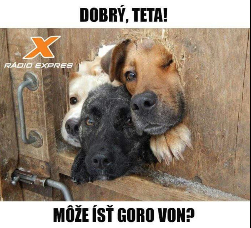 Soooo cuuuteee. :3 