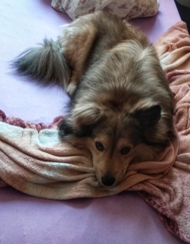 No keby si mi aspon postel nerozryl, ked si uz do nej vliezol... 