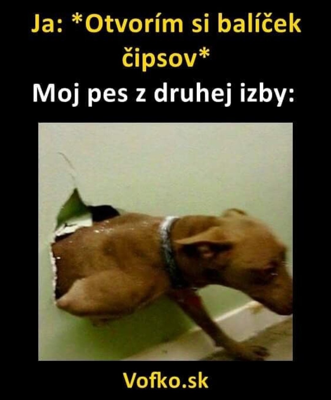 Obrázok bez popisu č.1069681