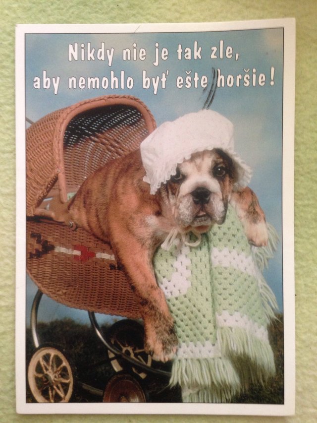 Tak tak... Ešte vždy Vás niekto môže obliecť ako debila, narvať Vás do malého kočárka, vyfotiť Vás a dať to na pohľadnicu... Ten peso ma vždy namotivuje... 