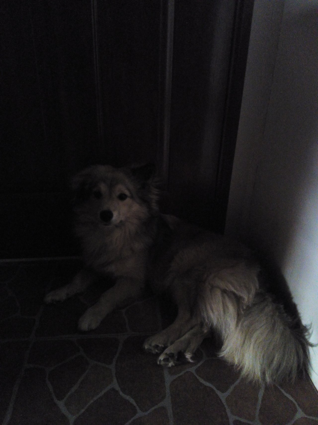 Zacina mi pripominat Pokemona