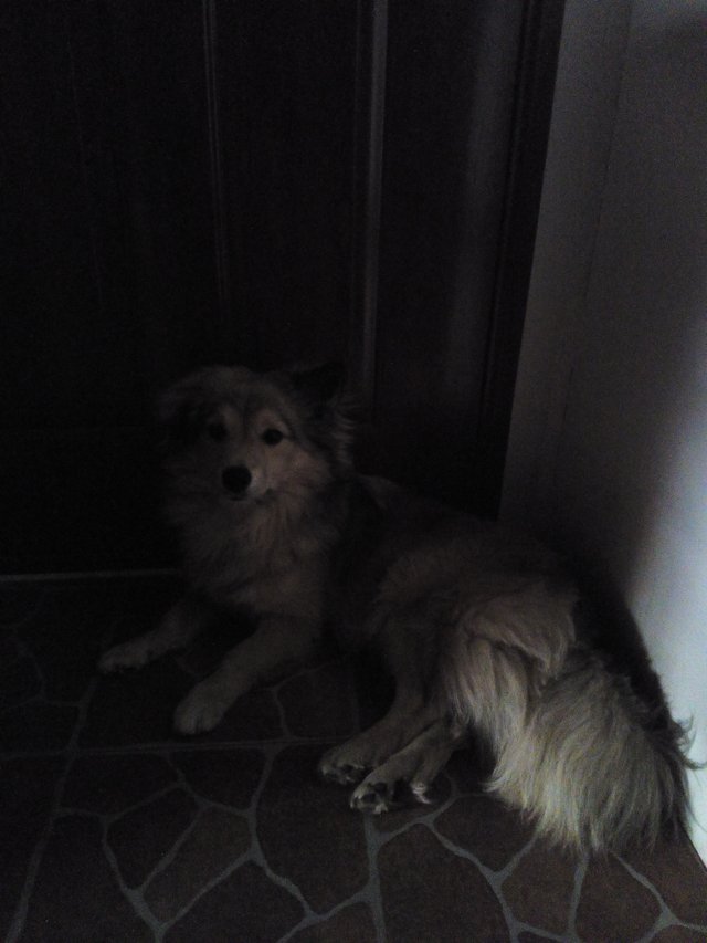 Zacina mi pripominat Pokemona