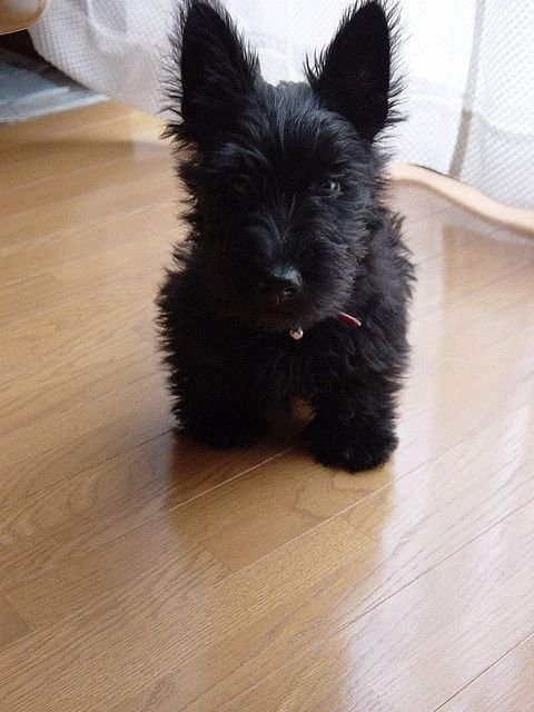 :3 