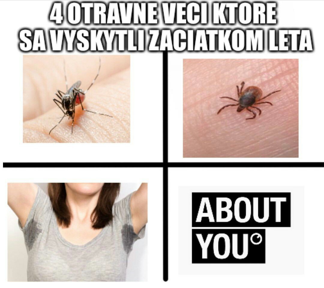 Obrázok bez popisu č.1061897