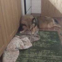 Hadajte kto si dnes plnohodnotne ustlal v kuchyni! 