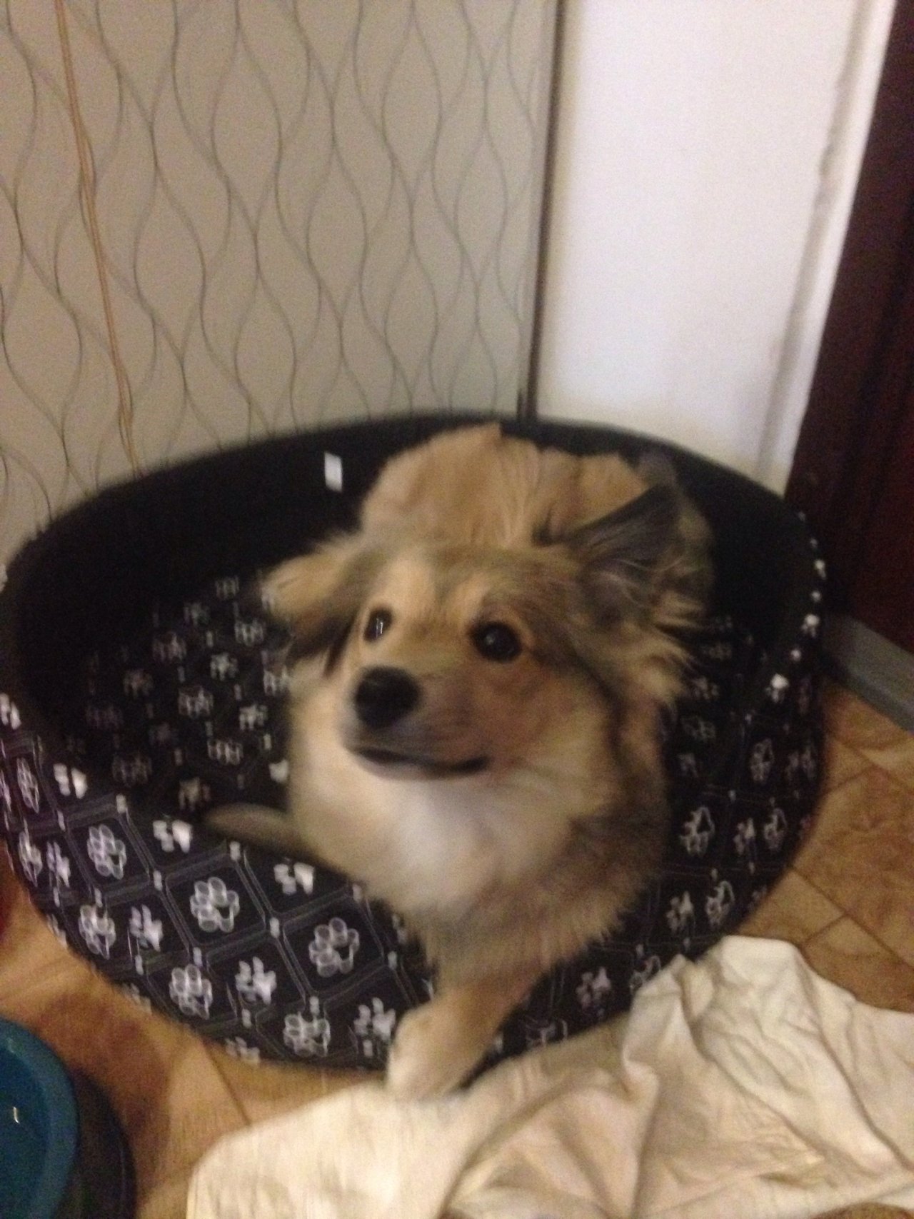 Nespiaca dostala peniažky tak hádajte čo hneď išla kúpiť. 