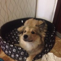 Nespiaca dostala peniažky tak hádajte čo hneď išla kúpiť. 