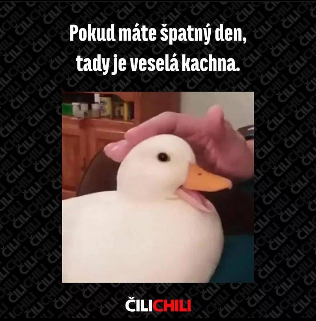 Vesela kasiska evri dej! 