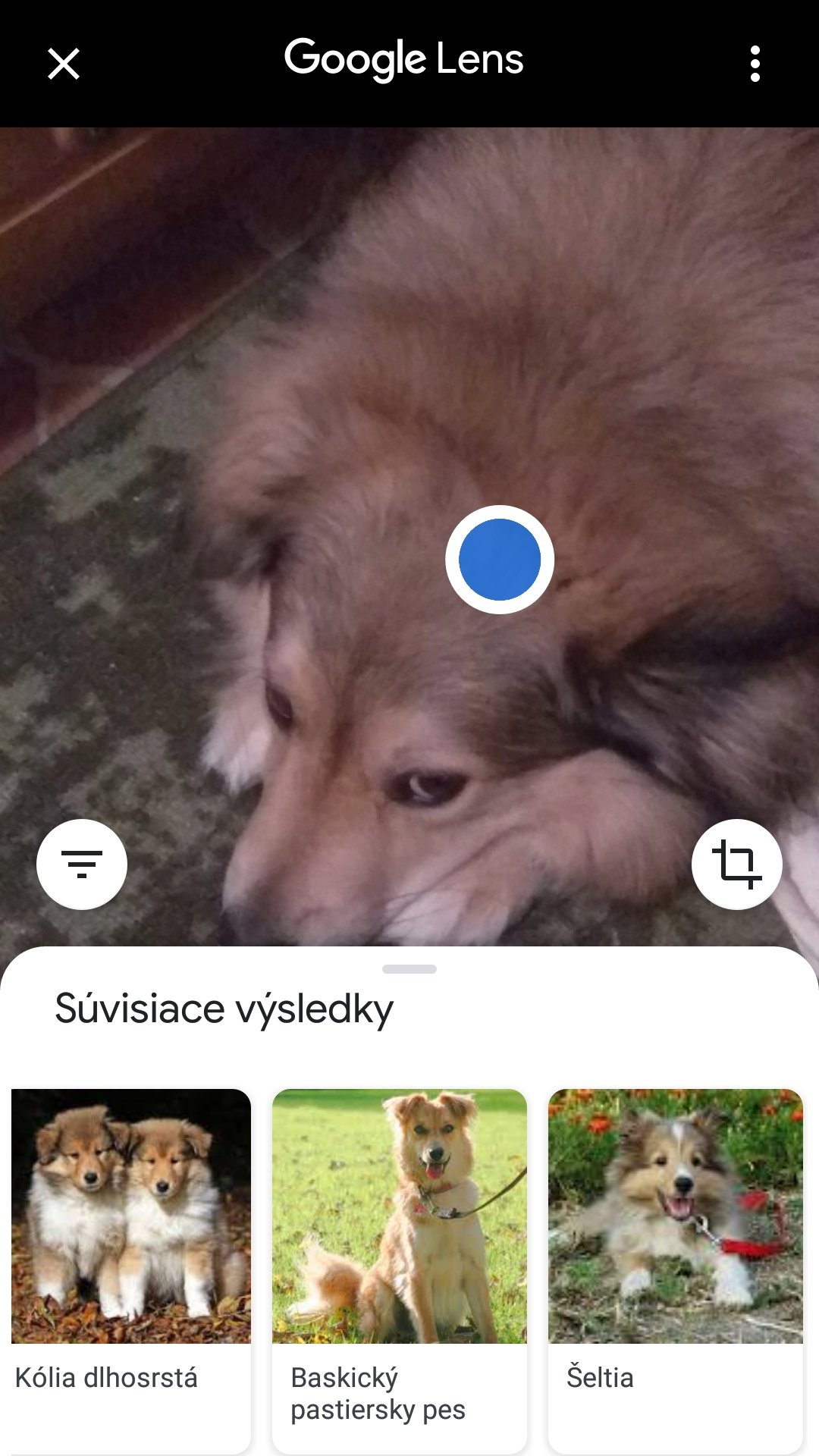 No ok, tak je teda Sheltia...