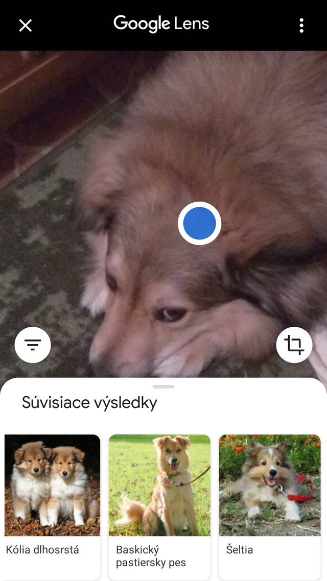 No ok, tak je teda Sheltia...