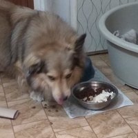 Moj tvaroztek! 