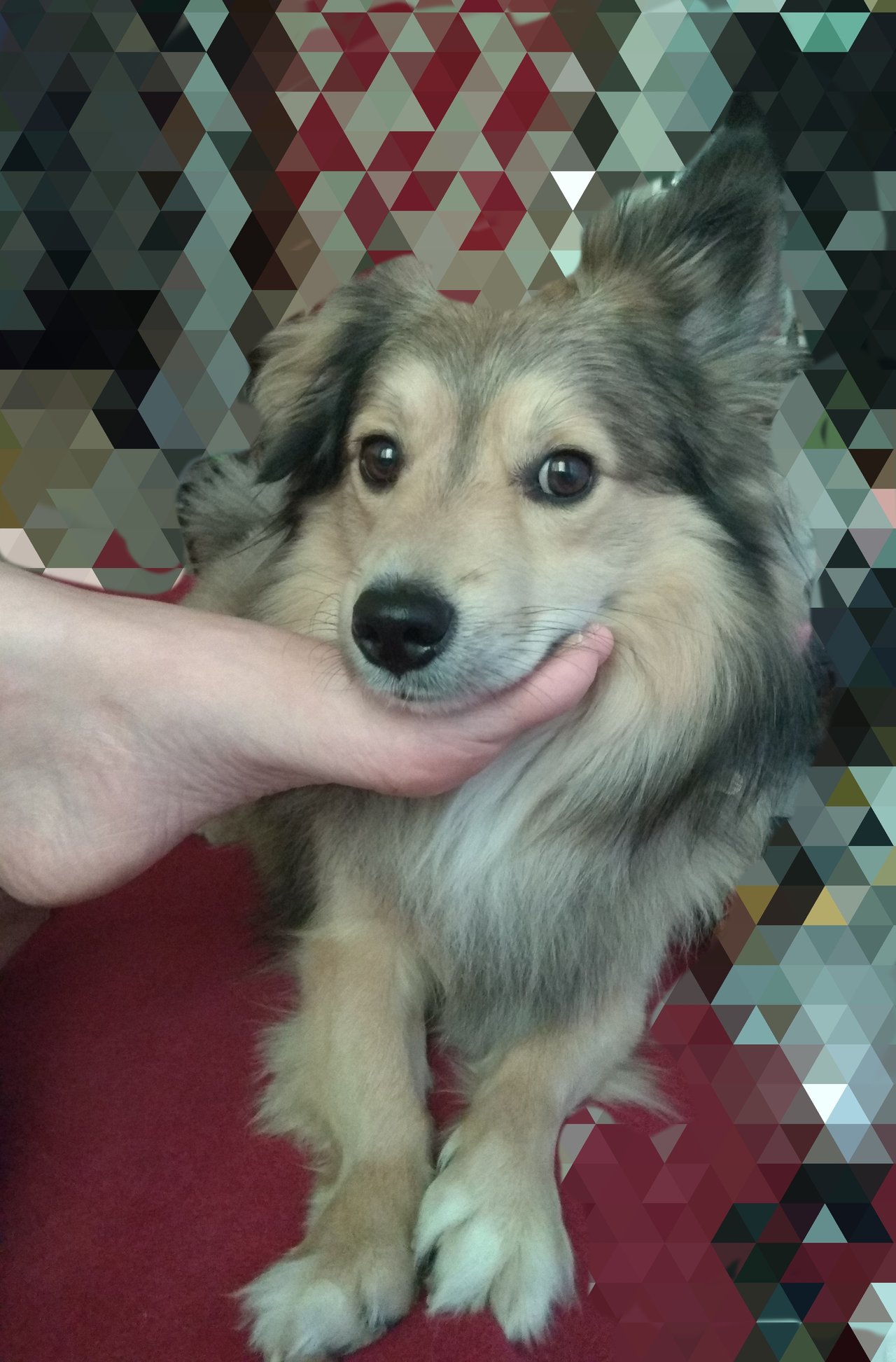 Takuto vitraz si dam vyrobit! 