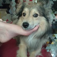 Takuto vitraz si dam vyrobit! 