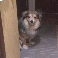 Aj o toto sa musim podelit! Pozrite ako pozera! <3 