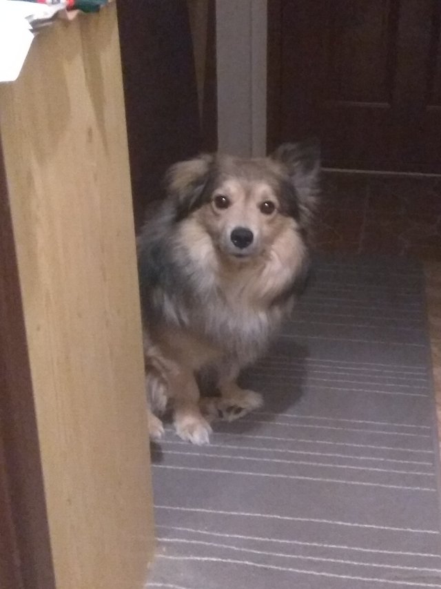 Aj o toto sa musim podelit! Pozrite ako pozera! <3 