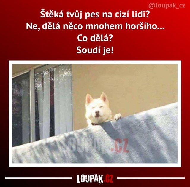 Obrázok bez popisu č.1072465