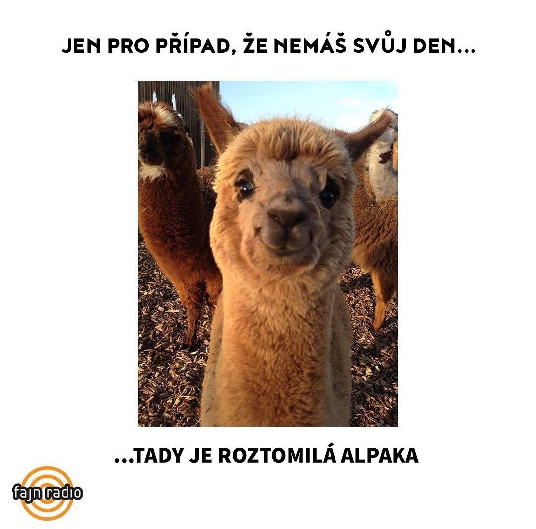 Obrázok bez popisu č.1072837