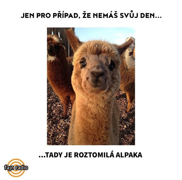 Obrázok bez popisu č.1072837