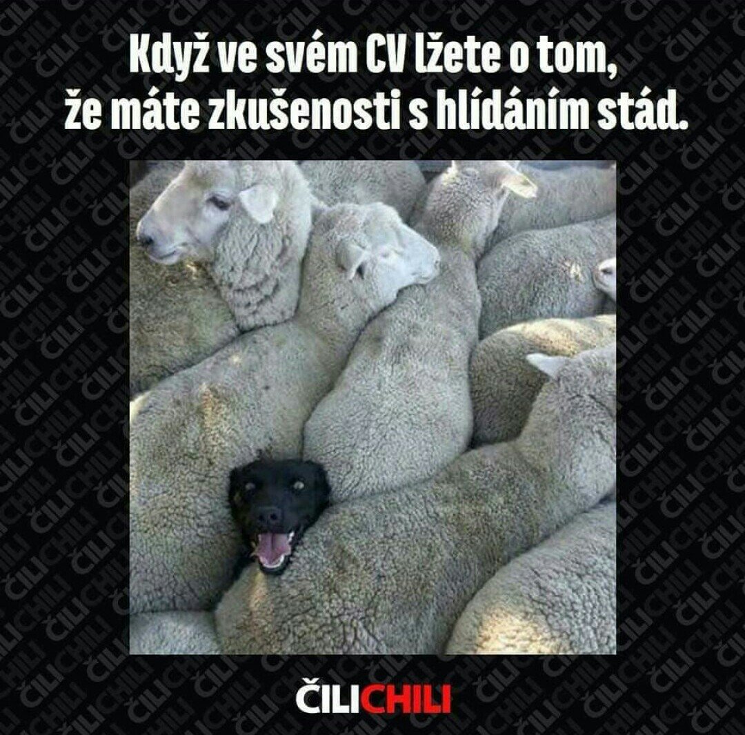 Obrázok bez popisu č.1061896