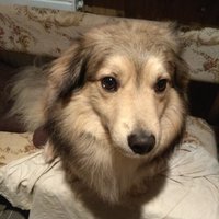 Sialene smutna princezna... (ten smutny vyraz ma pretoze som ho vykupala) 