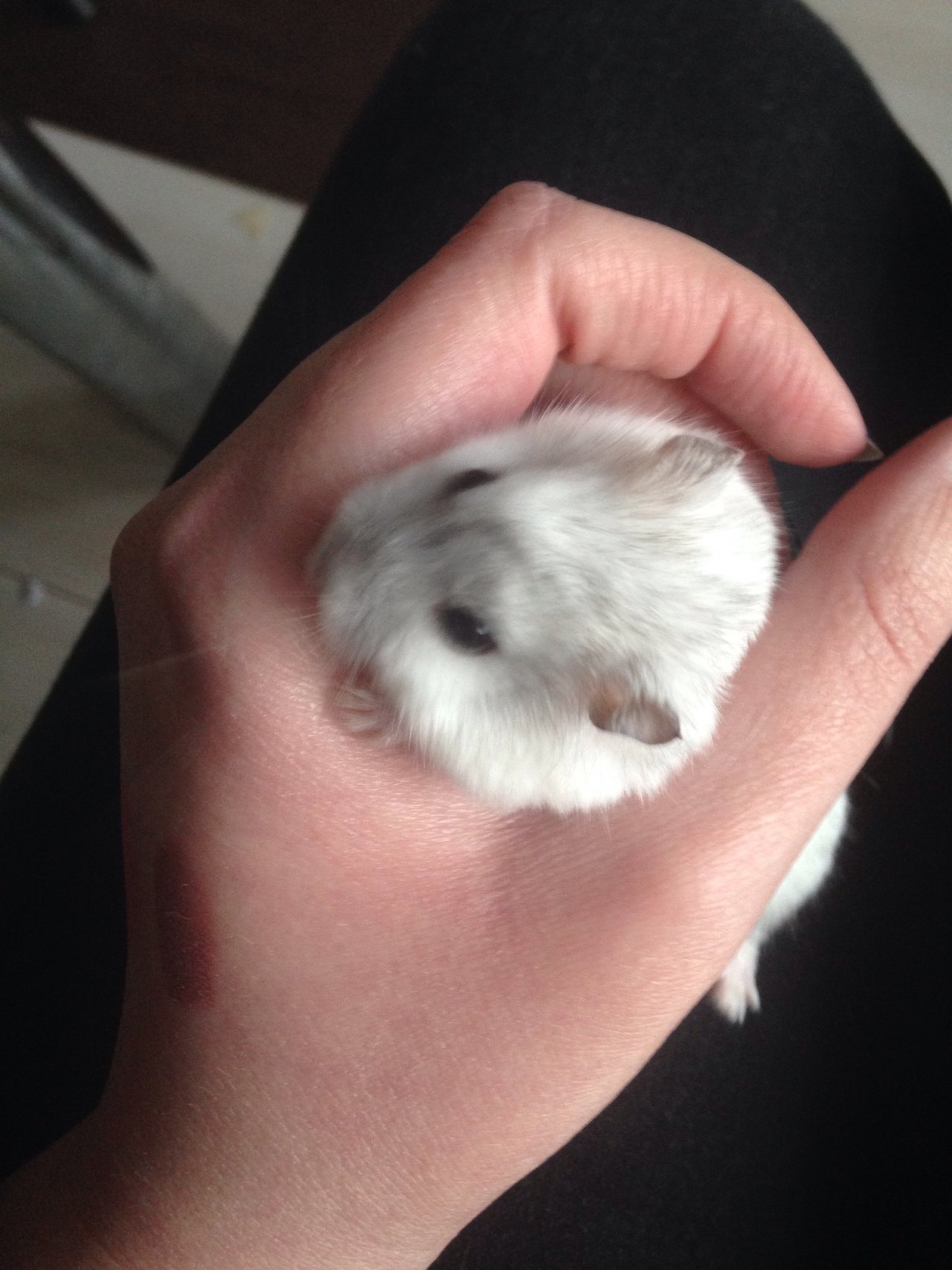 1 táto fotka hneď nadväzuje na tu druhu. Držíte skrecka chvíľu takto a ani sa nenazdáte a(pokračovanie na fotke 2)