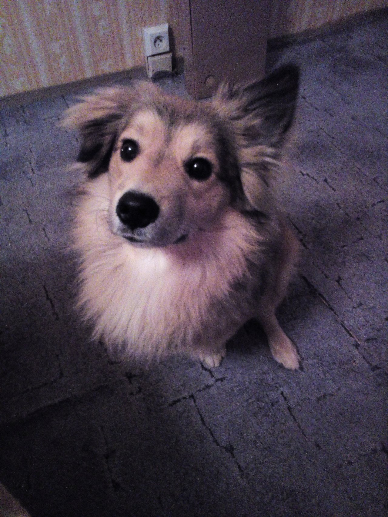 Levicek. :3 