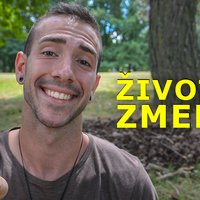 Aj k tebe prehovára INTUÍCIA? 