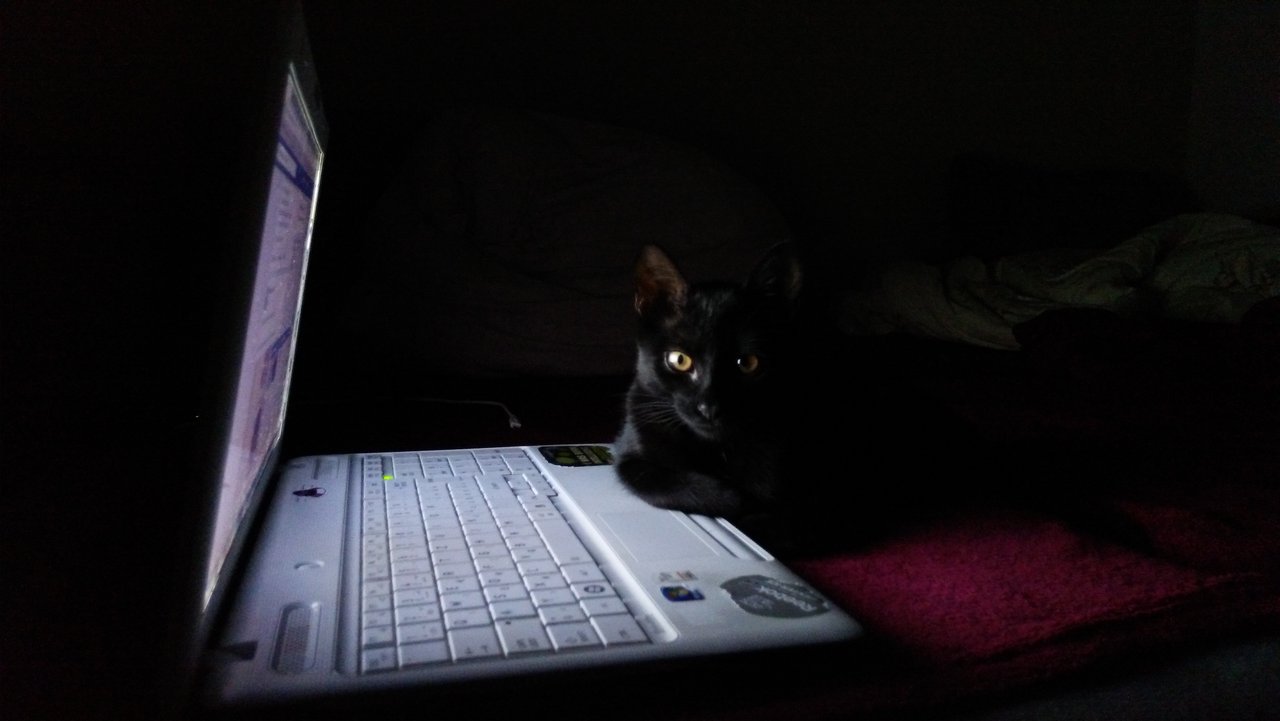 Obrázok bez popisu č.1028041