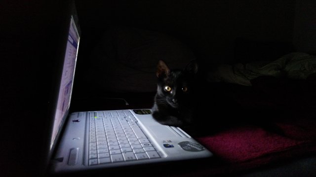 Obrázok bez popisu č.1028041