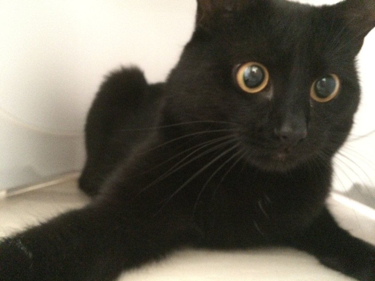 Obrázok bez popisu č.1028042