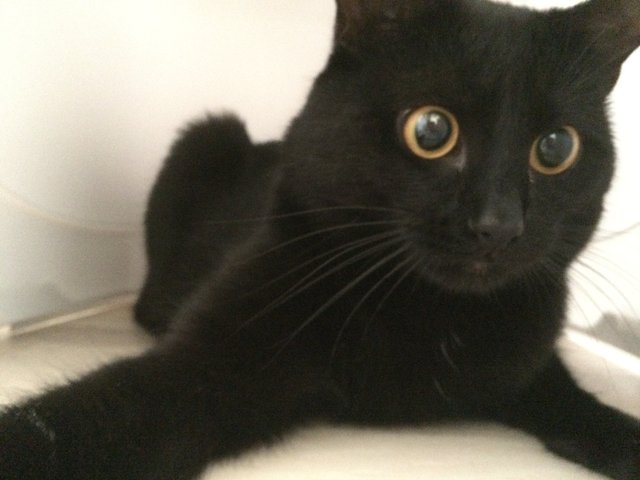 Obrázok bez popisu č.1028042