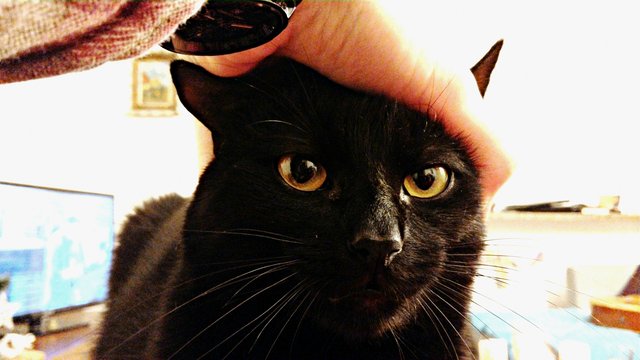 Obrázok bez popisu č.1028040