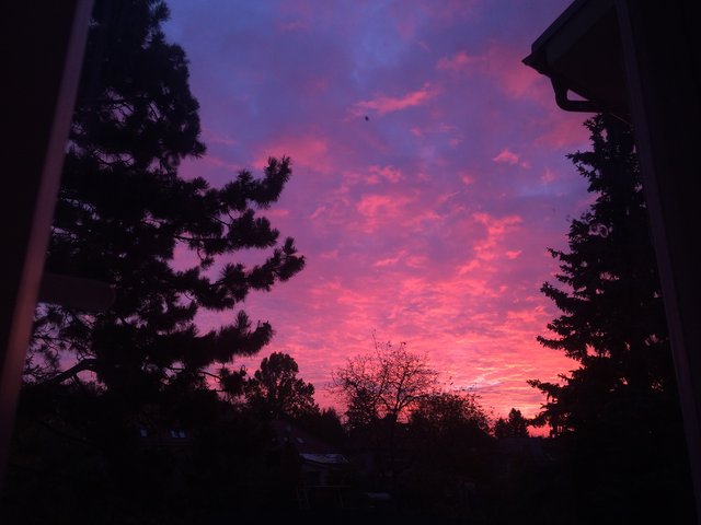 Obrázok bez popisu č.1028043