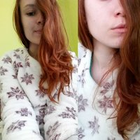 Ladovy medved a vlocky