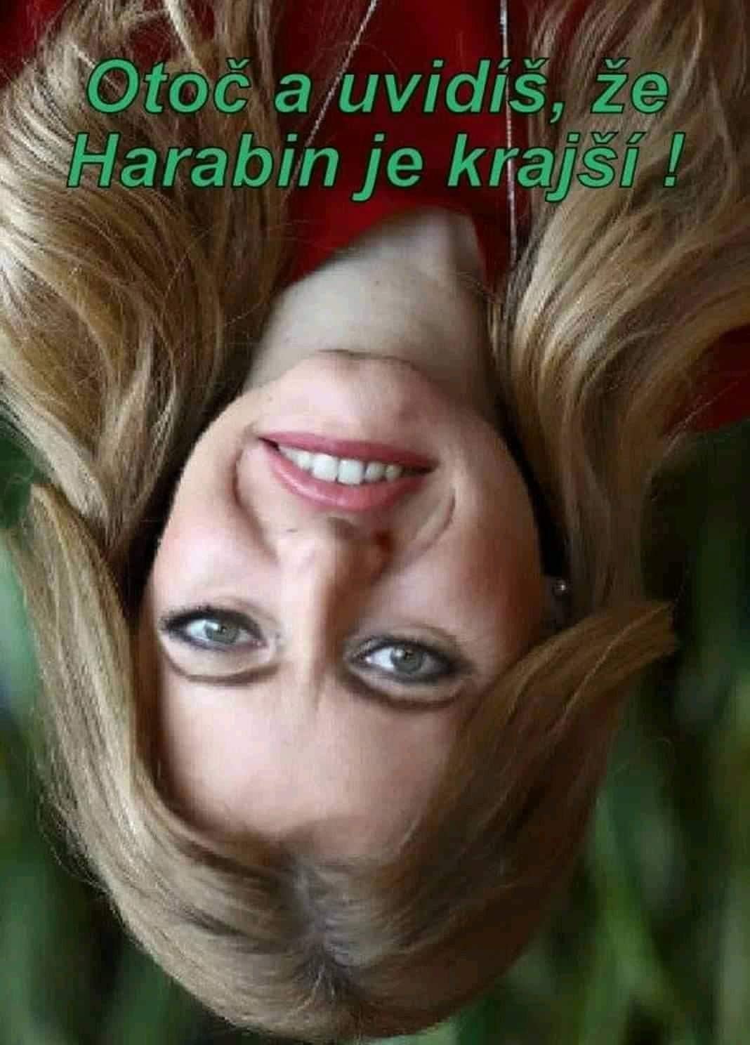 nejako sa to vybujnelo  