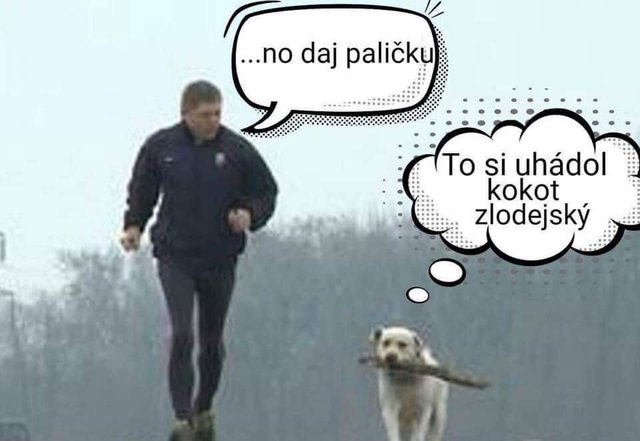Chudák pes :-D 