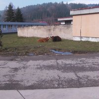 Pred bytom :D pohodeee