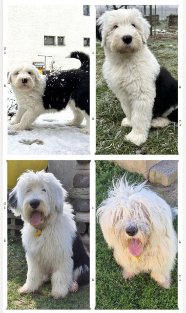 Obrázok bez popisu č.1095060