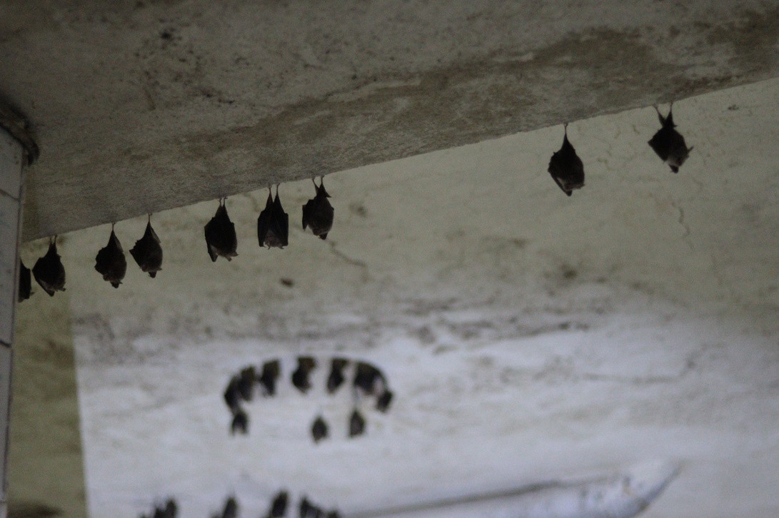 IQ 130! no tak pozooor na neho...