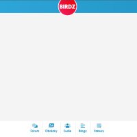ked je reč o redizajne birdzu, tu je moja verzia, trosku prehľadnejšie, jednoduchšie a tak atď a pod.