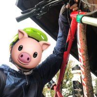 Ukážka z nezaradených obrázkov