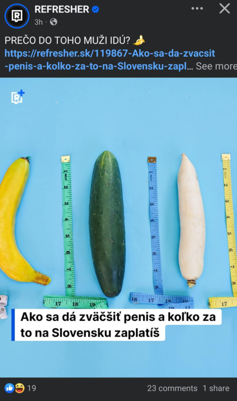 článok pre striekalu 