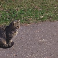 Ukážka z nezaradených obrázkov