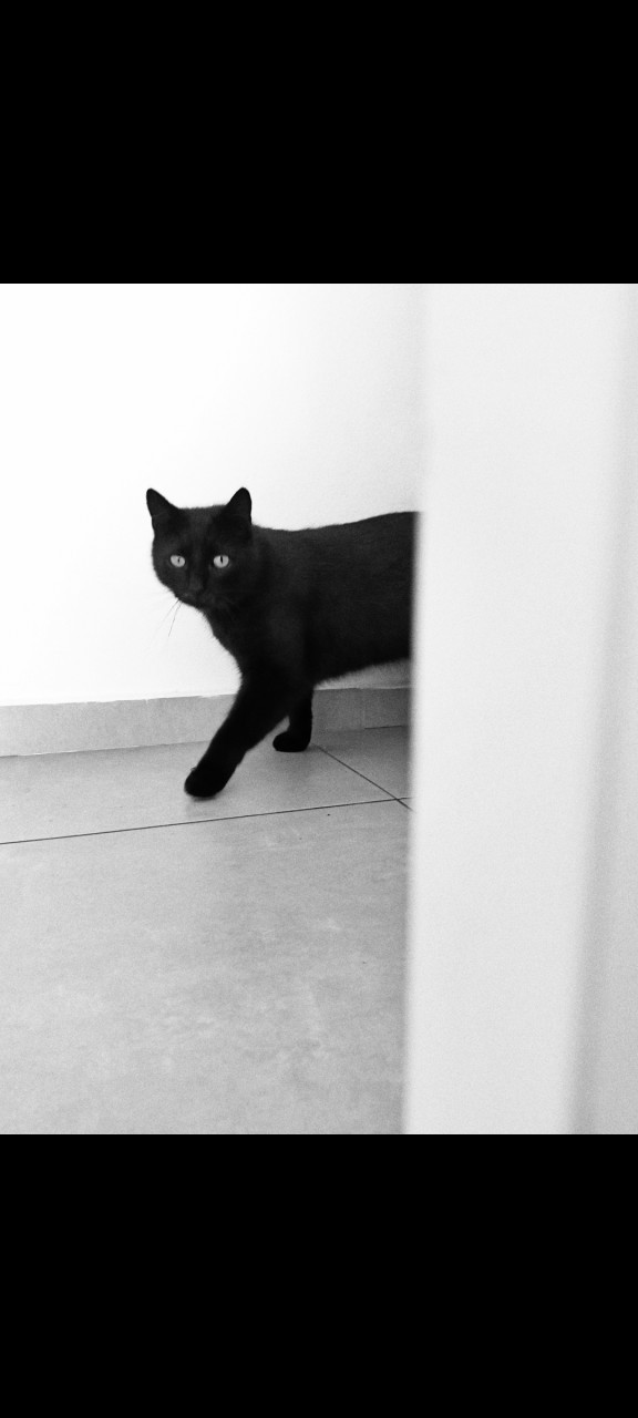 Ďalší pán temnoty.Dumbak :D :) 