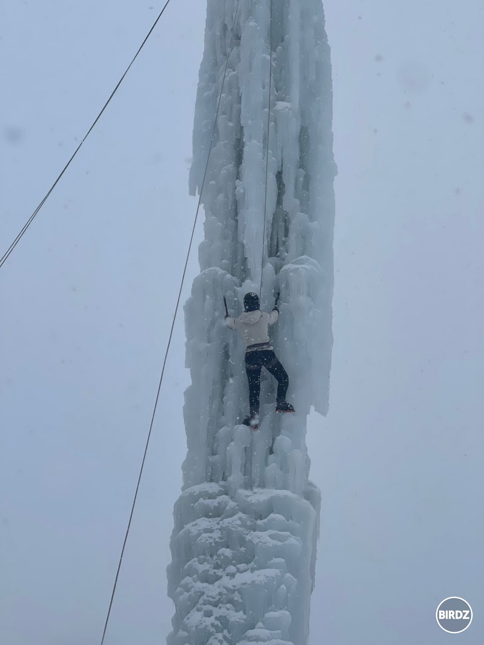 15m, vyliezla som to až hore aj keď s odsedaním 